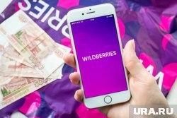 Wildberries пытается запретить бренд &laquo;WBнутый&raquo; из-за аморальности названия