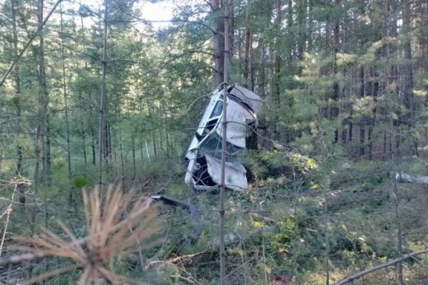 Двое молодых зауральцев погибли в ДТП после наезда на дерево