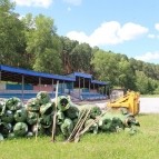
											В Куртамыше продолжается реконструкция стадиона &laquo;Молодёжный&raquo;									