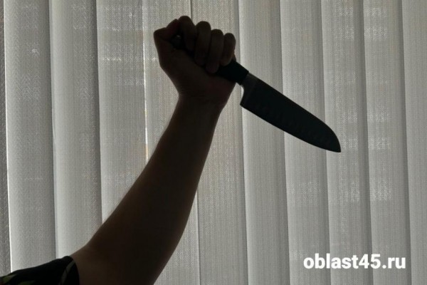 В Курганской области мужчина зарезал родственника сожительницы