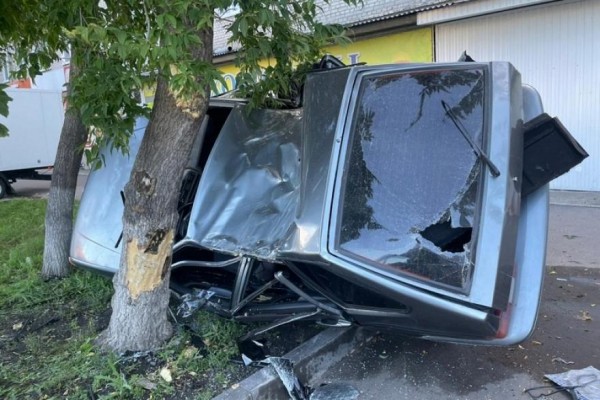 В Шадринске пьяный водитель на &laquo;Ладе&raquo; перевернулся и врезался в дерево