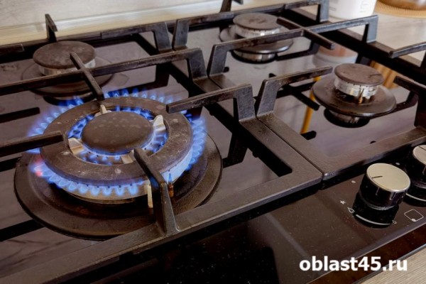 Некоторые предприятия и котельные Кургана останутся без газа Некоторые предприятия и котельные Кургана останутся без газа