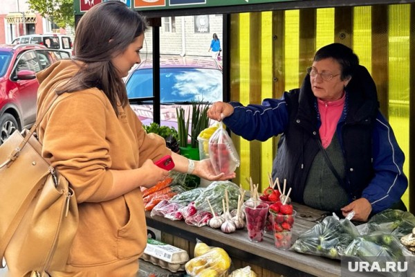 Курганские садоводы остались без яблок, зарабатывая на огурцах. Фото