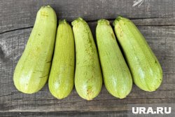 Кабачки по-новому: URA.RU собрало рецепты блюд, которые курганцы захотят попробовать Кабачки по-новому: URA.RU собрало рецепты блюд, которые курганцы захотят попробовать