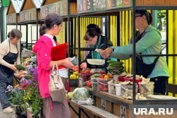 Курганские садоводы остались без яблок, зарабатывая на огурцах. Фото
