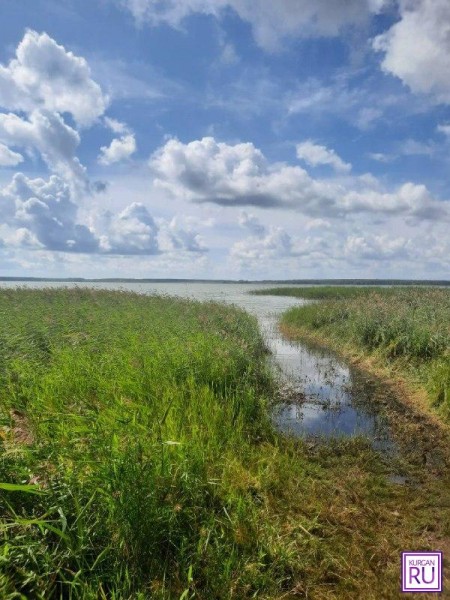 ​В Зауралье нашли тело утонувшего рыбака
