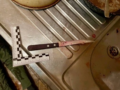 Курганец, обвиняемый в убийстве знакомого, заключен под стражу Курганец, обвиняемый в убийстве знакомого, заключен под стражу