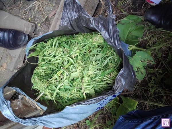 ​350 граммов конопли изъяли у жительницы Зауралья