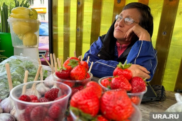 Курганские садоводы остались без яблок, зарабатывая на огурцах. Фото