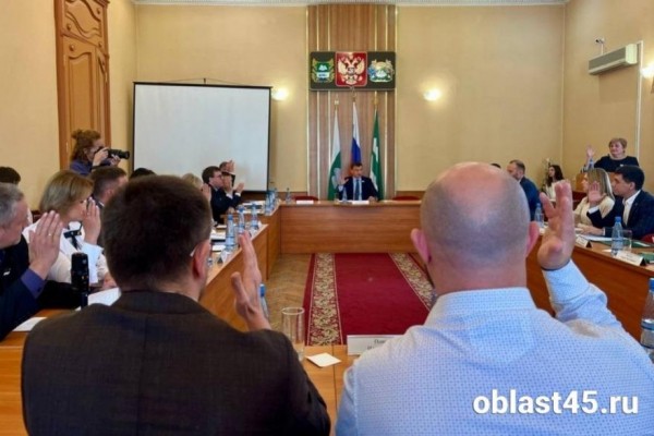 Кто и за что отвечает? В думе Кургана назначили руководителей профильных комиссий