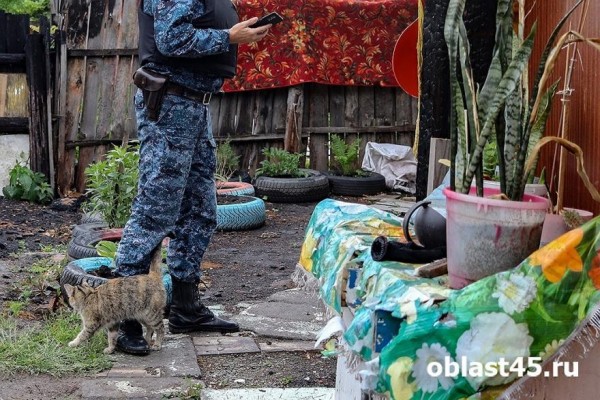 У зауральского предпринимателя в доход государства конфисковали бензопилы 