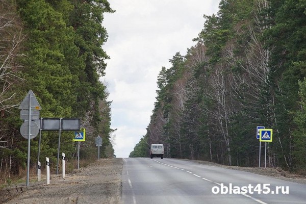 В Курганской области начали ремонтировать федеральную трассу &laquo;Иртыш&raquo;