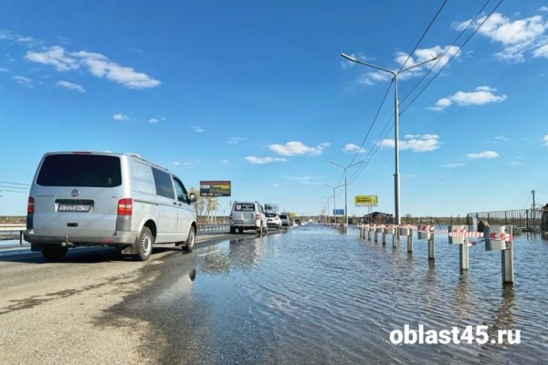 В Кургане планируют построить &laquo;антипаводковую&raquo; эстакаду на Тюнина