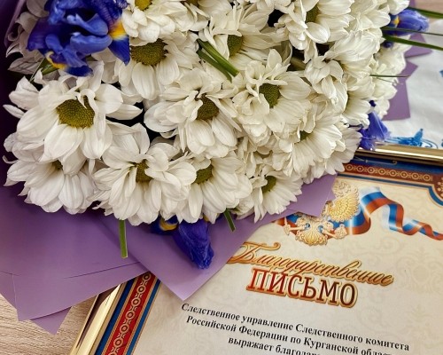 Мужественный поступок жительницы города Кургана не остался без внимания регионального следственного управления