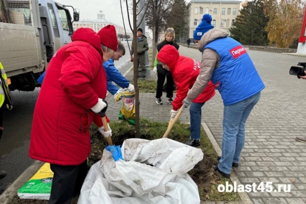 В Кургане новые деревья высаживали журналисты и общественники