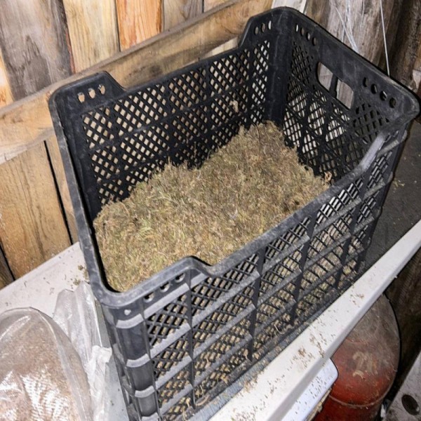 В гараже у зауральца нашли 8 килограммов каннабиса В гараже у зауральца нашли 8 килограммов каннабиса