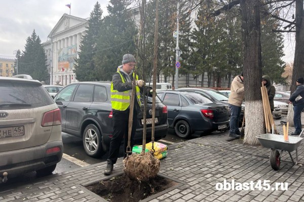 В Кургане новые деревья высаживали журналисты и общественники