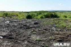 Бывший банкир из Самары лишился земли в Курганской области Бывший банкир из Самары лишился земли в Курганской области