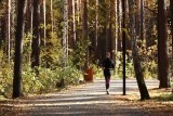 В экопарке микрорайона Рябково пройдут спортивные активности
В экопарке микрорайона Рябково пройдут спортивные активности