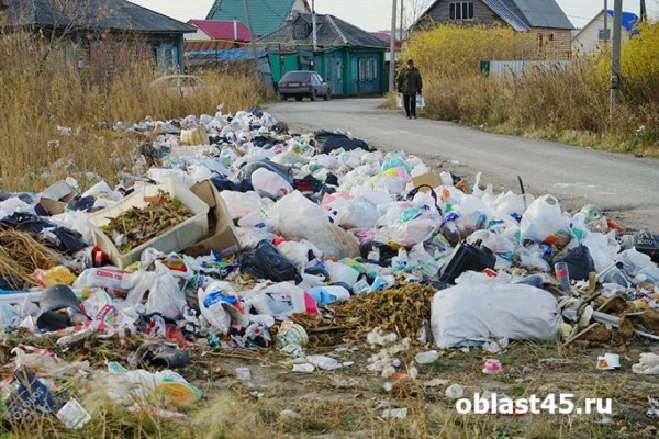 В Кургане вывезли 21 000 кубометров мусора в рамках противопожарных мероприятий 