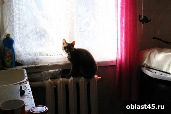 В Шадринске начинается отопительный сезон В Шадринске начинается отопительный сезон
