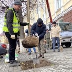 
											Журналисты и представители общественных организаций приняли участие в высадке деревьев в Кургане									