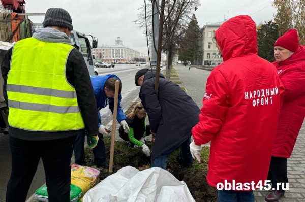 В Кургане новые деревья высаживали журналисты и общественники