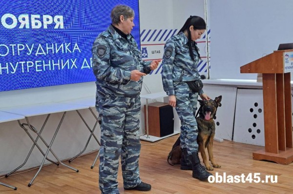 «Кинологом нужно родиться»: в Кургане школьникам рассказали о 4-лапых полицейских «Кинологом нужно родиться»: в Кургане школьникам рассказали о 4-лапых полицейских