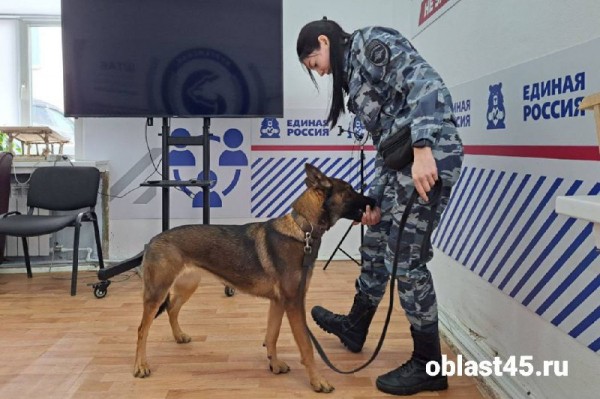 «Кинологом нужно родиться»: в Кургане школьникам рассказали о 4-лапых полицейских «Кинологом нужно родиться»: в Кургане школьникам рассказали о 4-лапых полицейских