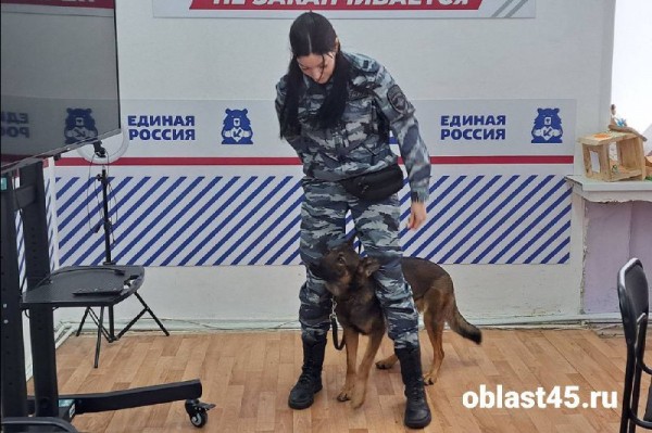«Кинологом нужно родиться»: в Кургане школьникам рассказали о 4-лапых полицейских «Кинологом нужно родиться»: в Кургане школьникам рассказали о 4-лапых полицейских