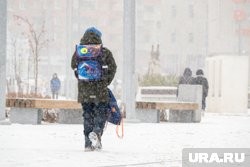 В Кургане высота снежного покрова за ночь вырастет до шести сантиметров