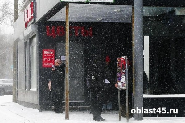 В Кургане автобусы проезжают мимо остановок и отстают от графика В Кургане автобусы проезжают мимо остановок и отстают от графика