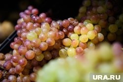 Через госграницу в Курганской области не пропустили тонны китайского винограда. Фото