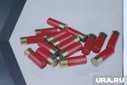 В Курганской области задержали мужчину с самодельным арсеналом