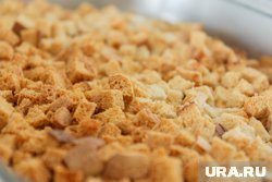 Жители Курганской области собрали сухари для бойцов СВО. Фото Жители Курганской области собрали сухари для бойцов СВО. Фото