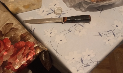 Жительница Щучанского района заключена под стражу по обвинению в убийстве сожителя Жительница Щучанского района заключена под стражу по обвинению в убийстве сожителя
