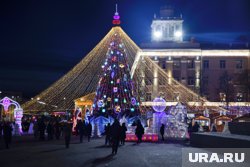 &laquo;Пони замучились возить толстых детей&raquo;: курганцы требуют защитить животных