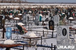 В Курганской области выросла убыль населения. Скрин В Курганской области выросла убыль населения. Скрин