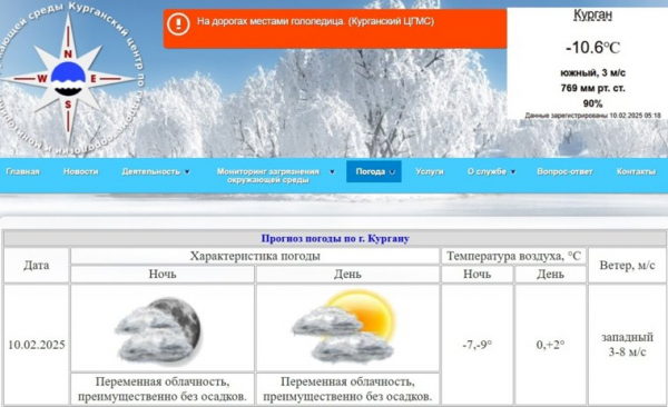 В Кургане ожидается плюсовая температура. Скрин