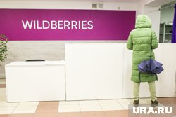 Жители Курганской области стали реже искать маркетплейсы в интернете