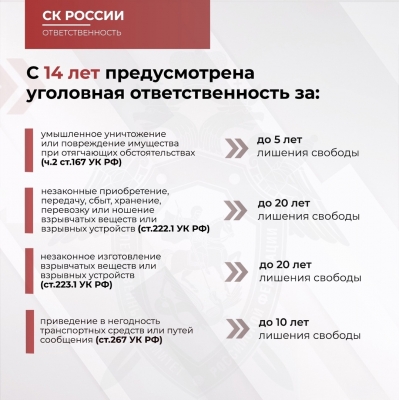 Следственное управление призывает граждан к бдительности и напоминает об уголовной ответственности за преступления против основ конституционного строя и безопасности государства