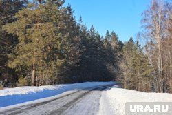 Следствие просит курганцев помочь установить личность человека, чьи останки нашли в лесу. Фото Следствие просит курганцев помочь установить личность человека, чьи останки нашли в лесу. Фото