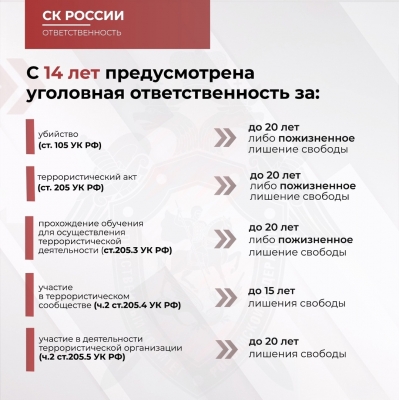 Следственное управление призывает граждан к бдительности и напоминает об уголовной ответственности за преступления против основ конституционного строя и безопасности государства