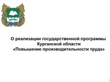 
											В Курганской области подвели итоги реализации региональной программы по повышению производительности труда									