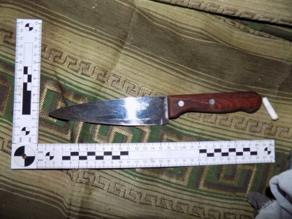 В Кургане заключен под стражу местный житель, обвиняемый в убийстве знакомого В Кургане заключен под стражу местный житель, обвиняемый в убийстве знакомого
