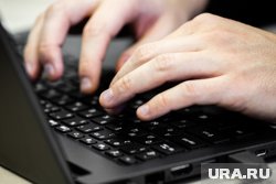 От монтажника и сантехника до управделами в мэрии: в Курганской области появились свежие вакансии От монтажника и сантехника до управделами в мэрии: в Курганской области появились свежие вакансии