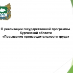 
											В Курганской области подвели итоги реализации региональной программы по повышению производительности труда									
