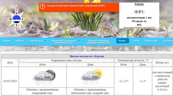 Мокрый снег выпадет в Кургане и Шадринске. Скрин