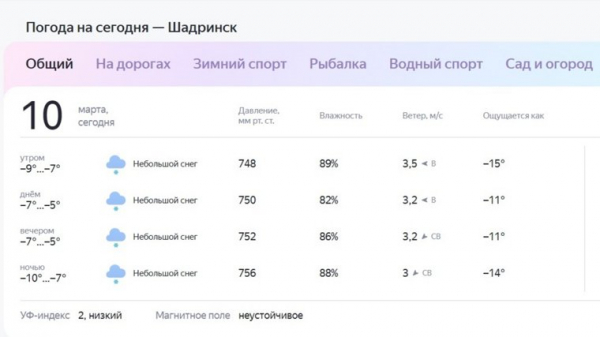 Мокрый снег выпадет в Кургане и Шадринске. Скрин