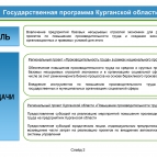 
											В Курганской области подвели итоги реализации региональной программы по повышению производительности труда									